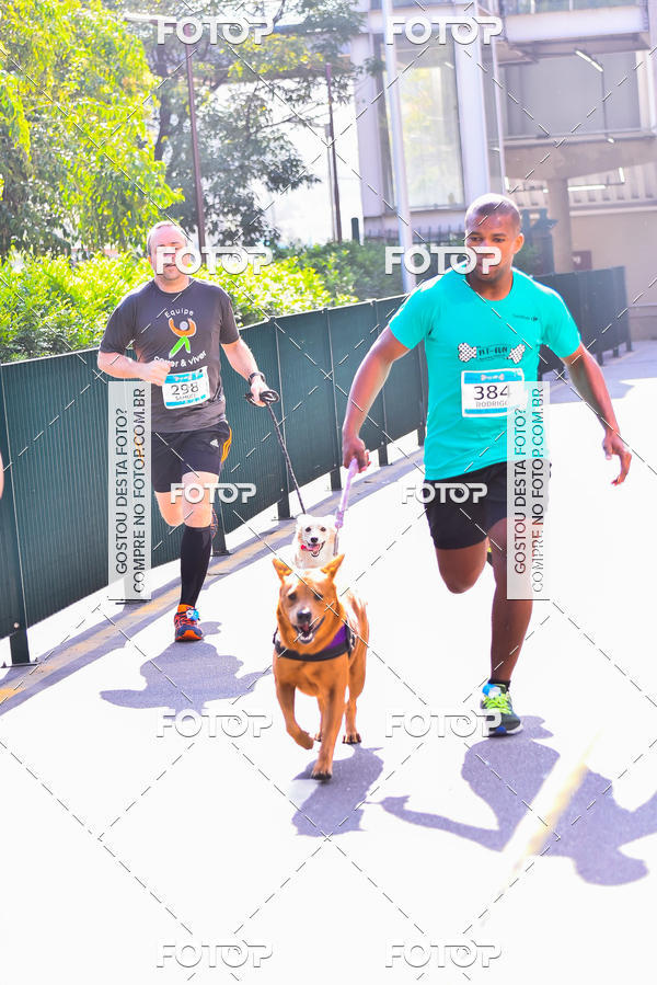 Buy your photos of the event2 Pet Run Shopping Eldorado  on Fotop