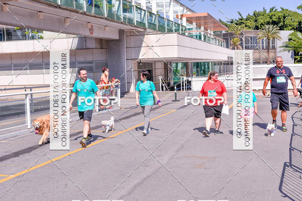 Buy your photos of the event2 Pet Run Shopping Eldorado  on Fotop