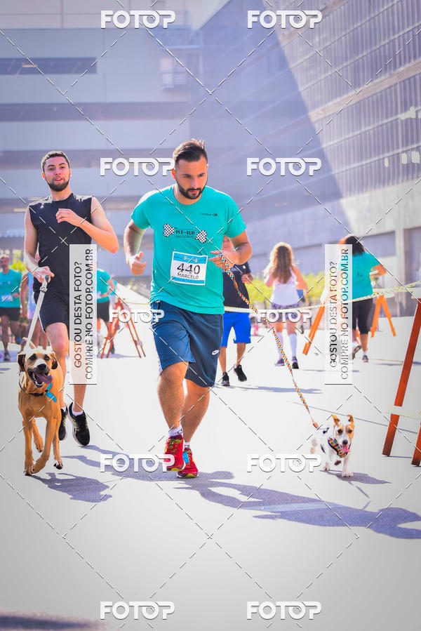 Buy your photos of the event2 Pet Run Shopping Eldorado  on Fotop