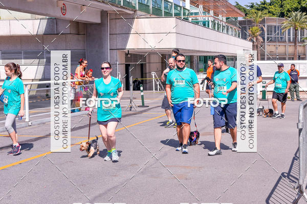 Buy your photos of the event2 Pet Run Shopping Eldorado  on Fotop