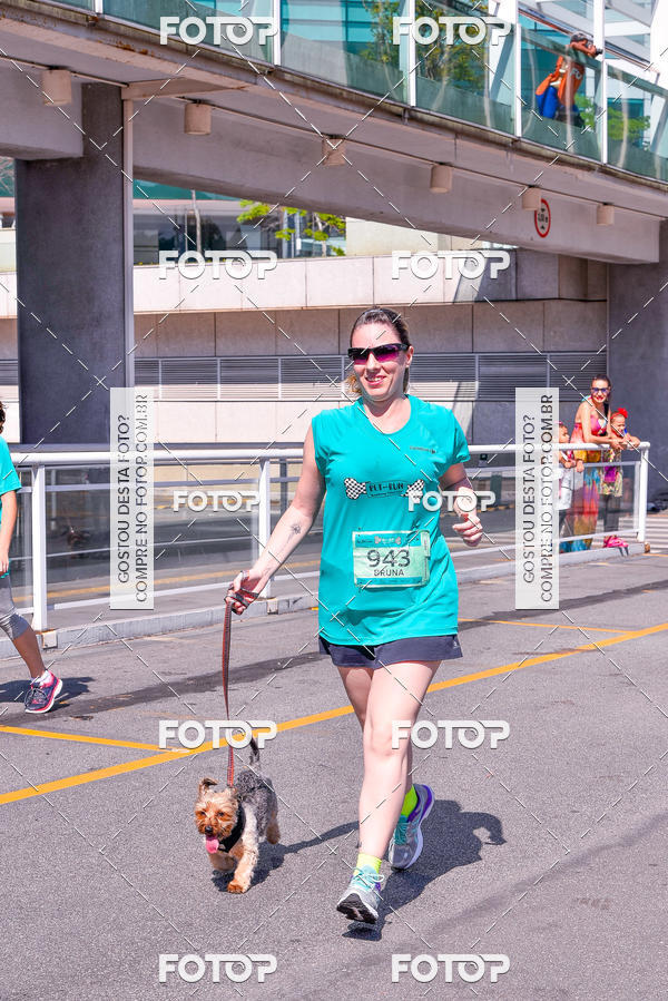 Buy your photos of the event2 Pet Run Shopping Eldorado  on Fotop