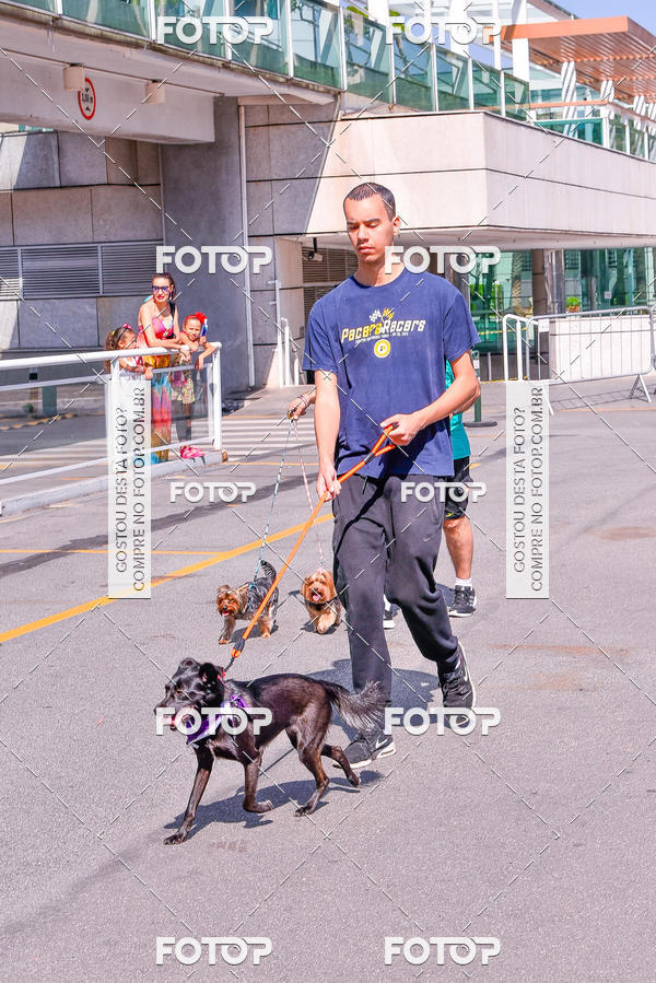 Buy your photos of the event2 Pet Run Shopping Eldorado  on Fotop