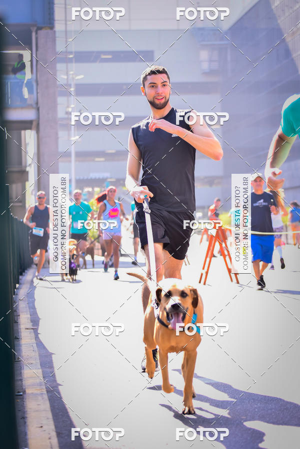 Buy your photos of the event2 Pet Run Shopping Eldorado  on Fotop
