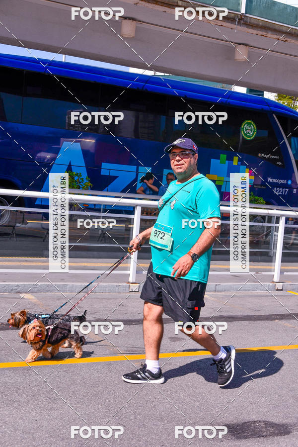 Buy your photos of the event2 Pet Run Shopping Eldorado  on Fotop