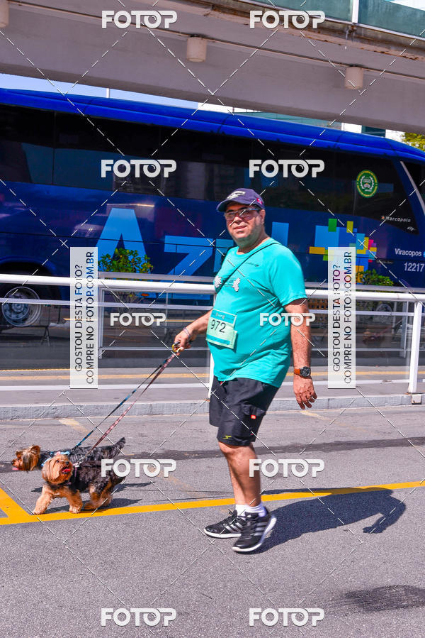 Buy your photos of the event2 Pet Run Shopping Eldorado  on Fotop