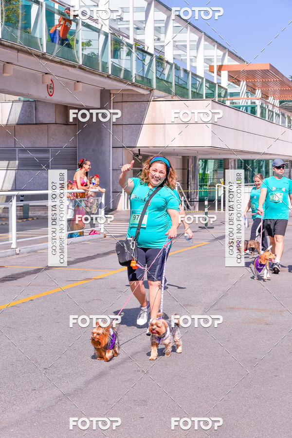 Buy your photos of the event2 Pet Run Shopping Eldorado  on Fotop