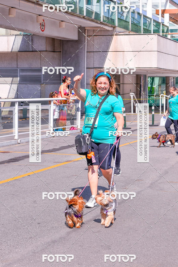 Buy your photos of the event2 Pet Run Shopping Eldorado  on Fotop