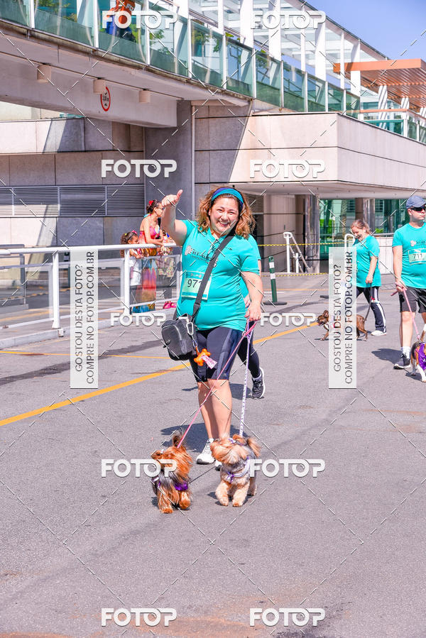 Buy your photos of the event2 Pet Run Shopping Eldorado  on Fotop