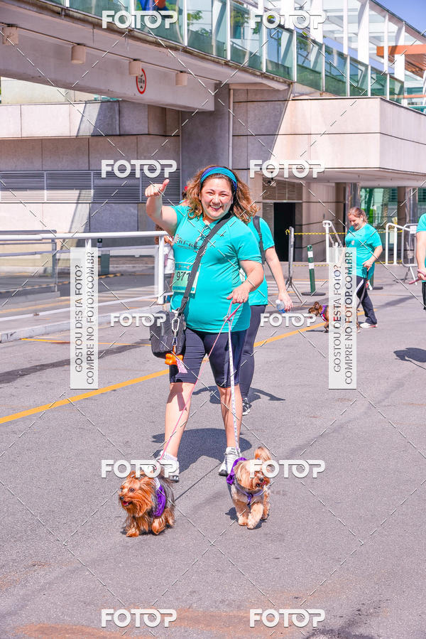 Buy your photos of the event2 Pet Run Shopping Eldorado  on Fotop
