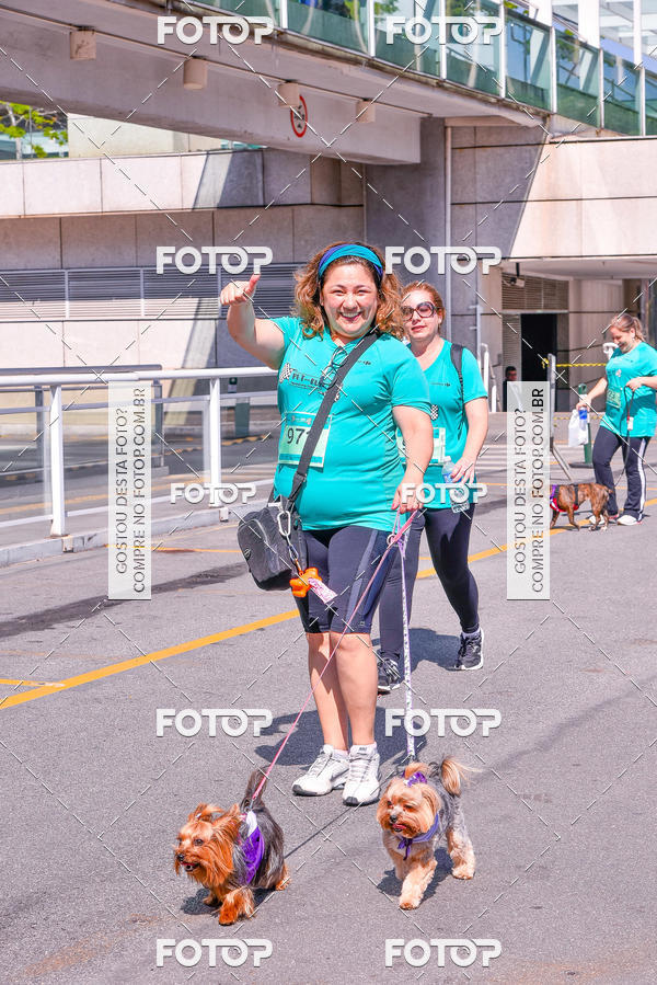 Buy your photos of the event2 Pet Run Shopping Eldorado  on Fotop