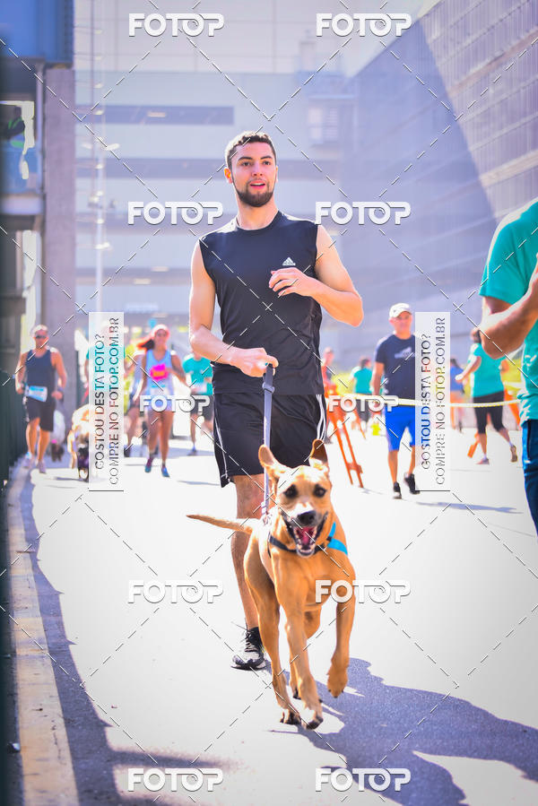 Buy your photos of the event2 Pet Run Shopping Eldorado  on Fotop