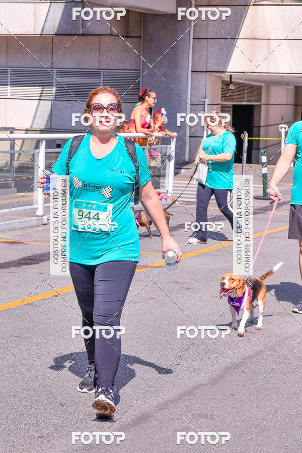 Buy your photos of the event2 Pet Run Shopping Eldorado  on Fotop
