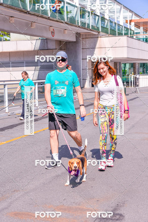 Buy your photos of the event2 Pet Run Shopping Eldorado  on Fotop