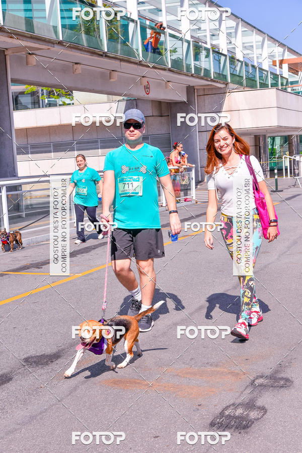 Buy your photos of the event2 Pet Run Shopping Eldorado  on Fotop