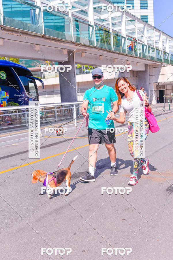 Buy your photos of the event2 Pet Run Shopping Eldorado  on Fotop