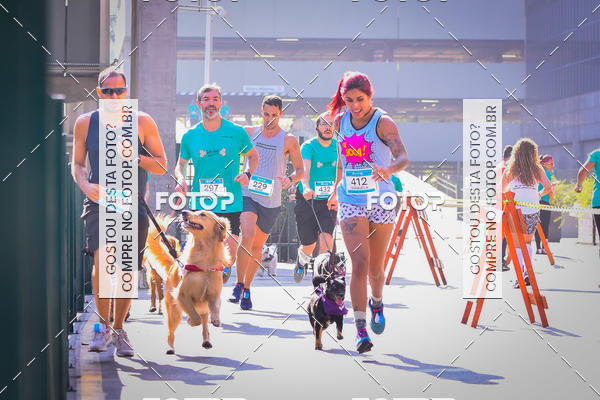 Buy your photos of the event2 Pet Run Shopping Eldorado  on Fotop