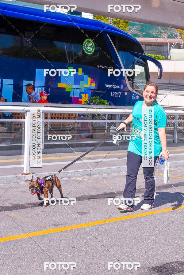 Buy your photos of the event2 Pet Run Shopping Eldorado  on Fotop