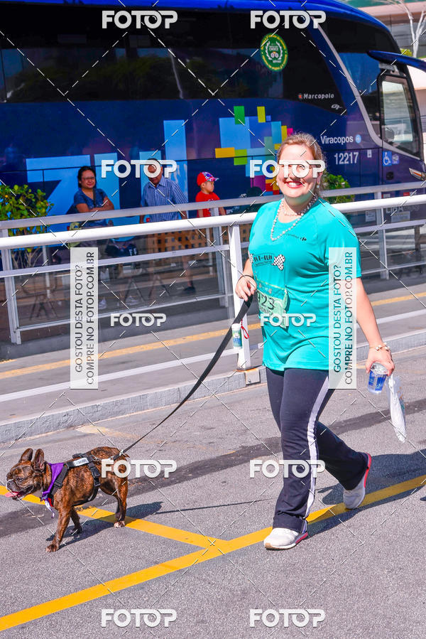 Buy your photos of the event2 Pet Run Shopping Eldorado  on Fotop