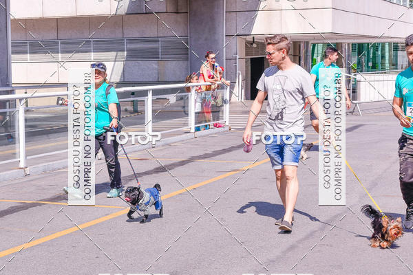 Buy your photos of the event2 Pet Run Shopping Eldorado  on Fotop