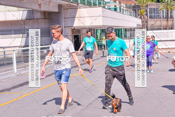 Buy your photos of the event2� Pet Run Shopping Eldorado  on Fotop