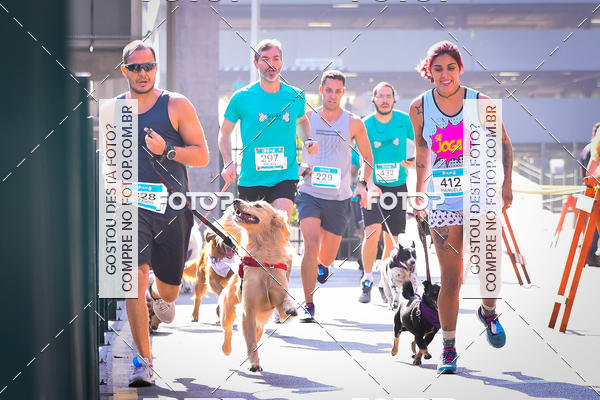 Buy your photos of the event2 Pet Run Shopping Eldorado  on Fotop