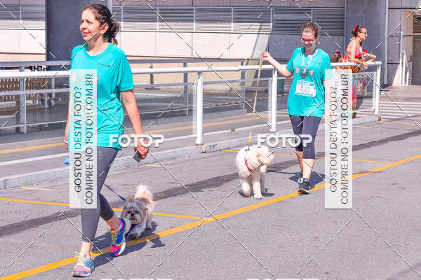 Buy your photos of the event2� Pet Run Shopping Eldorado  on Fotop