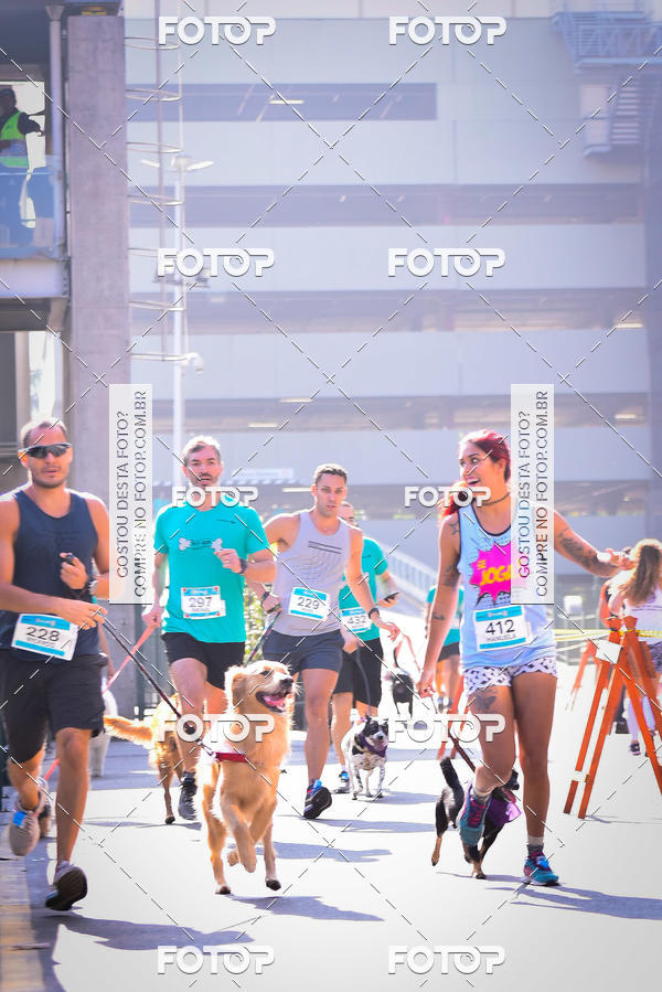 Buy your photos of the event2 Pet Run Shopping Eldorado  on Fotop