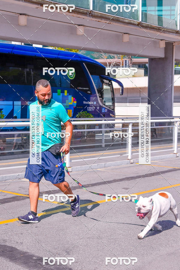Buy your photos of the event2� Pet Run Shopping Eldorado  on Fotop