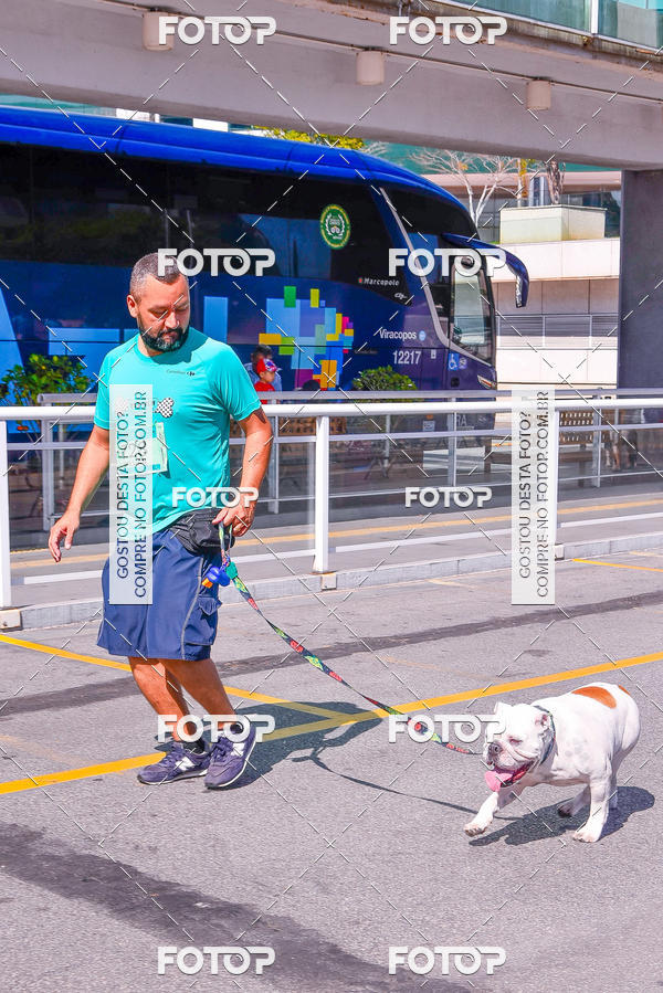 Buy your photos of the event2� Pet Run Shopping Eldorado  on Fotop