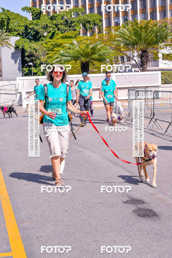 Buy your photos of the event2� Pet Run Shopping Eldorado  on Fotop