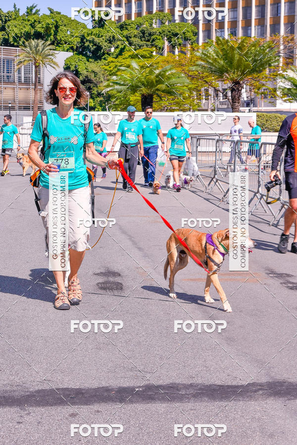 Buy your photos of the event2� Pet Run Shopping Eldorado  on Fotop
