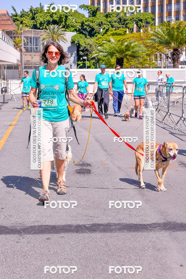 Buy your photos of the event2� Pet Run Shopping Eldorado  on Fotop