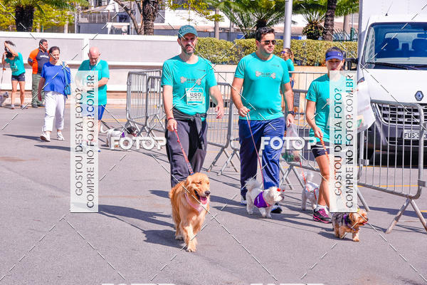 Buy your photos of the event2� Pet Run Shopping Eldorado  on Fotop