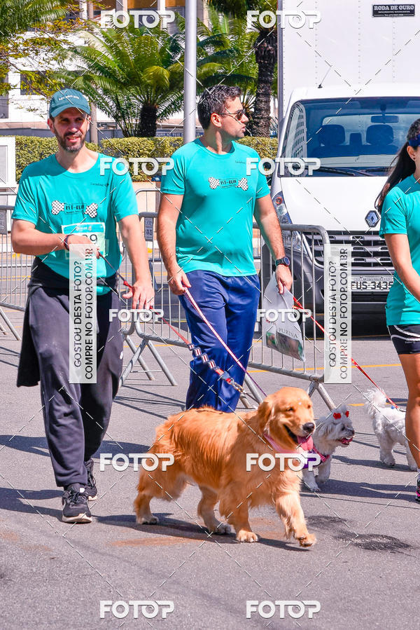 Buy your photos of the event2� Pet Run Shopping Eldorado  on Fotop