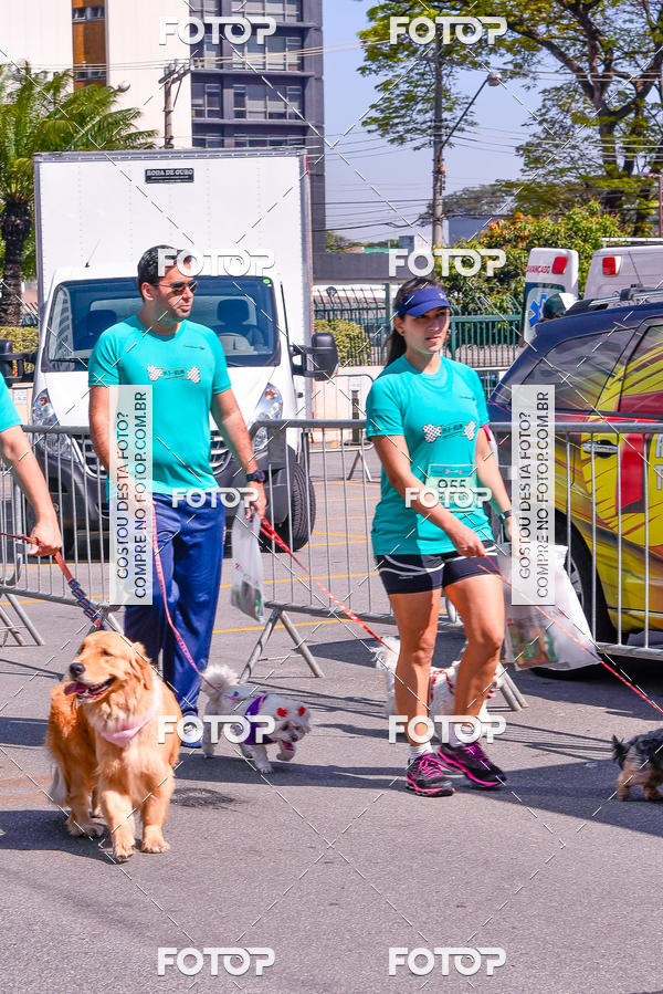 Buy your photos of the event2� Pet Run Shopping Eldorado  on Fotop