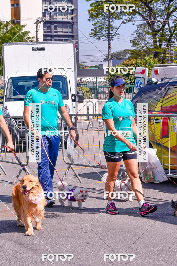Buy your photos of the event2� Pet Run Shopping Eldorado  on Fotop