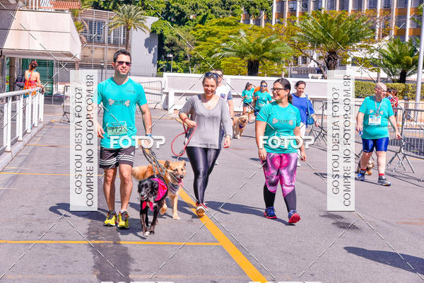 Buy your photos of the event2� Pet Run Shopping Eldorado  on Fotop