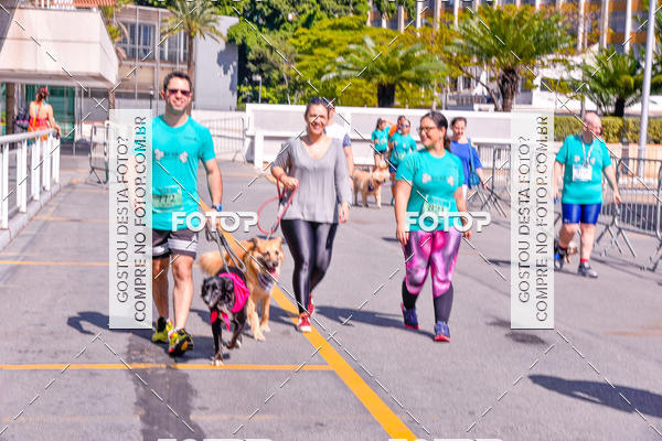Buy your photos of the event2� Pet Run Shopping Eldorado  on Fotop