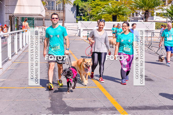 Buy your photos of the event2� Pet Run Shopping Eldorado  on Fotop