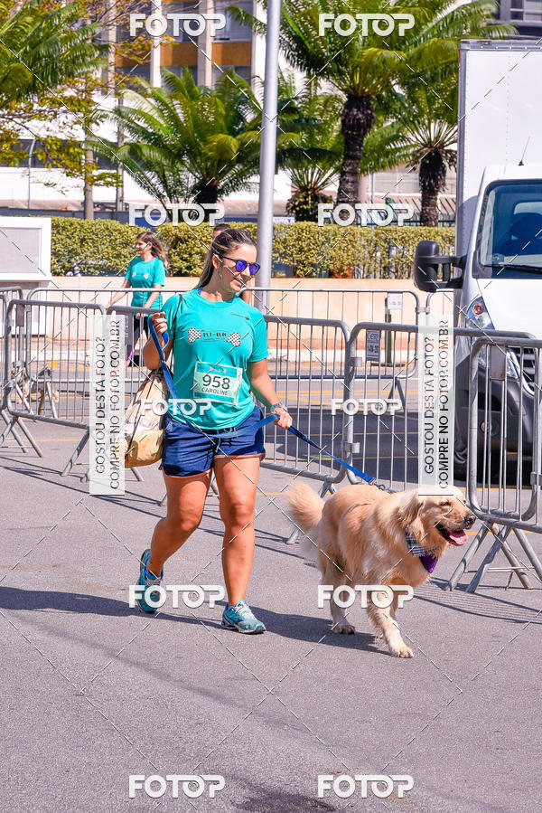 Buy your photos of the event2� Pet Run Shopping Eldorado  on Fotop