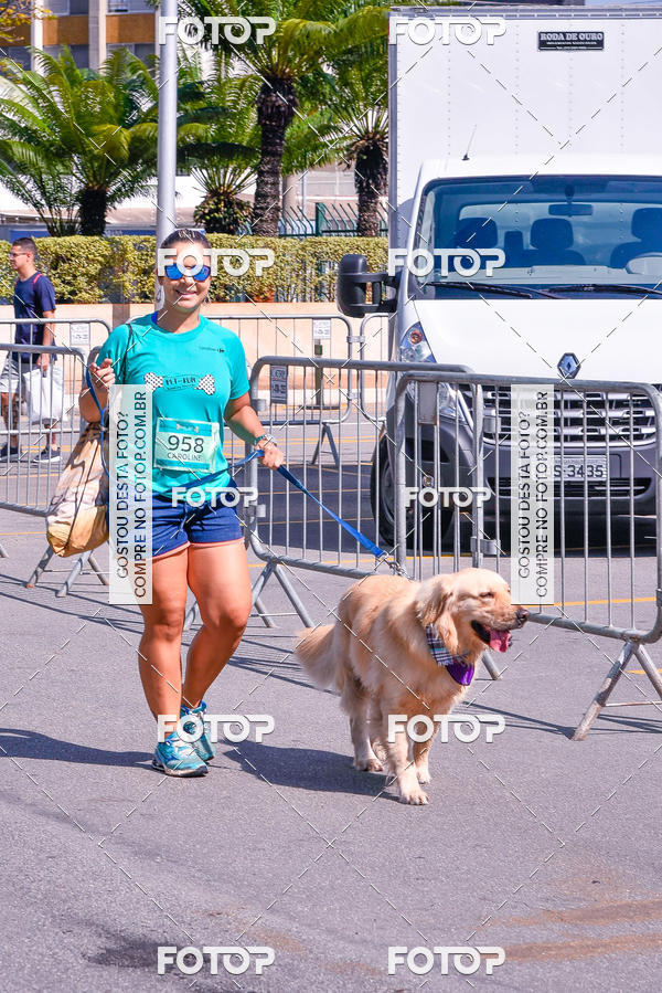 Buy your photos of the event2� Pet Run Shopping Eldorado  on Fotop