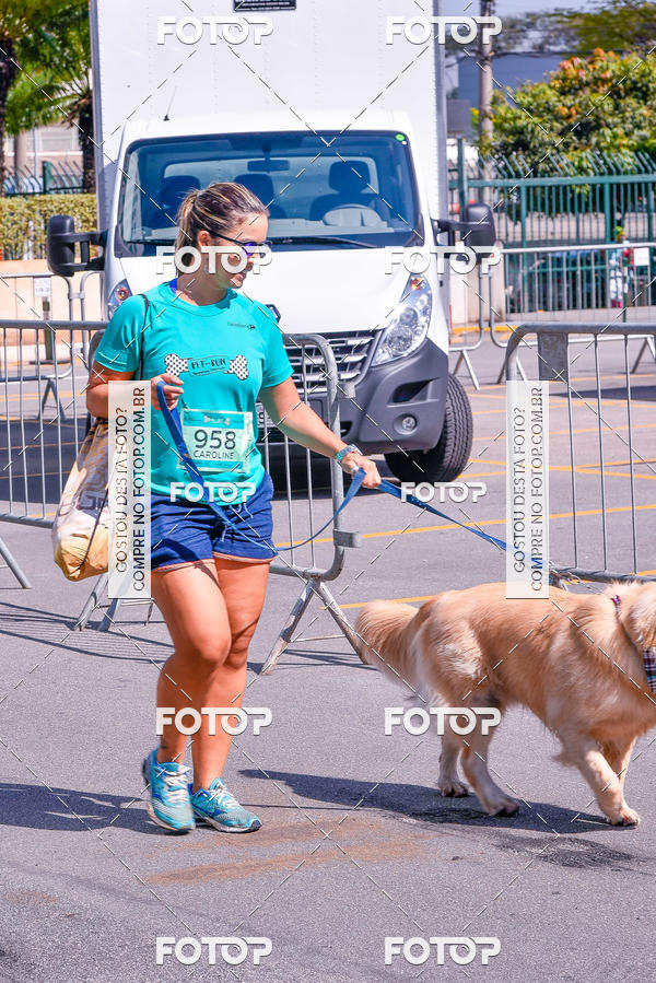Buy your photos of the event2� Pet Run Shopping Eldorado  on Fotop
