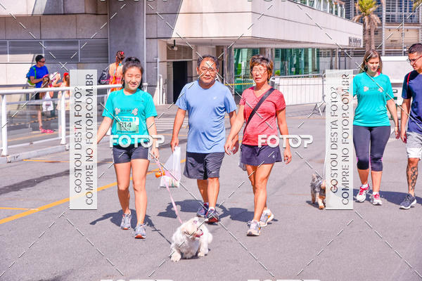 Buy your photos of the event2� Pet Run Shopping Eldorado  on Fotop