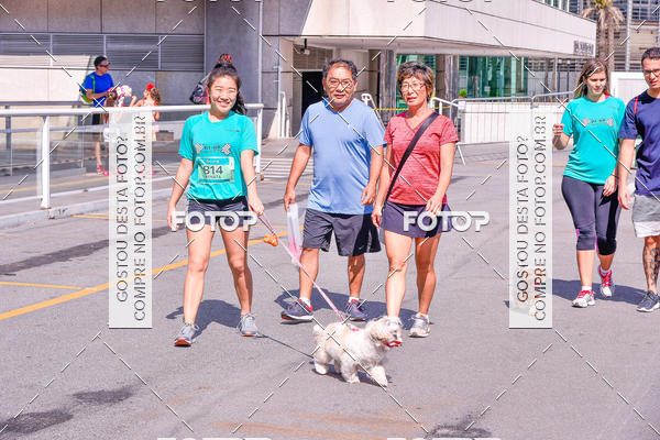Buy your photos of the event2� Pet Run Shopping Eldorado  on Fotop