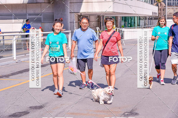 Buy your photos of the event2� Pet Run Shopping Eldorado  on Fotop