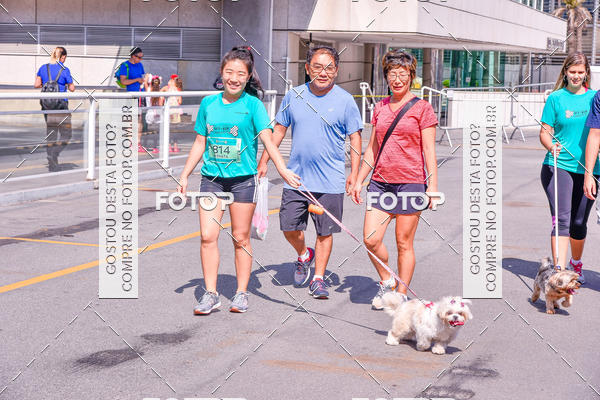 Buy your photos of the event2� Pet Run Shopping Eldorado  on Fotop