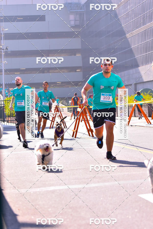 Buy your photos of the event2 Pet Run Shopping Eldorado  on Fotop