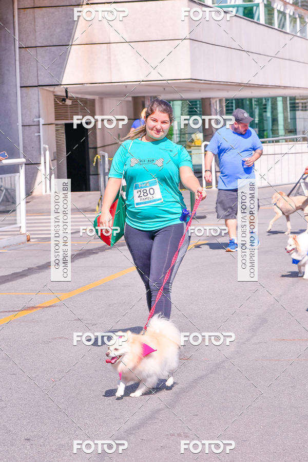 Buy your photos of the event2� Pet Run Shopping Eldorado  on Fotop