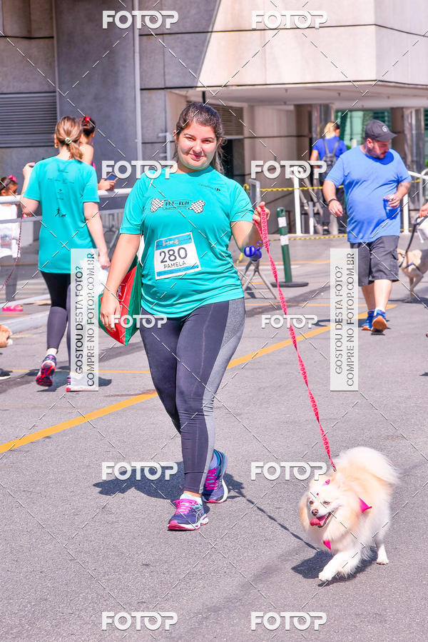 Buy your photos of the event2� Pet Run Shopping Eldorado  on Fotop