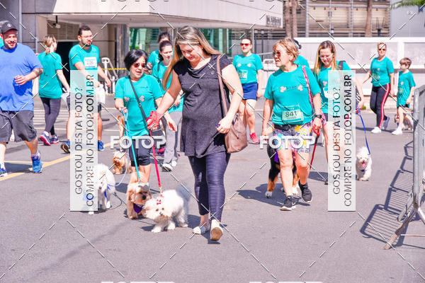 Buy your photos of the event2� Pet Run Shopping Eldorado  on Fotop